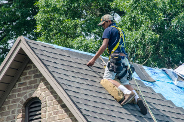Best Roof Gutter Cleaning  in Lomita, CA